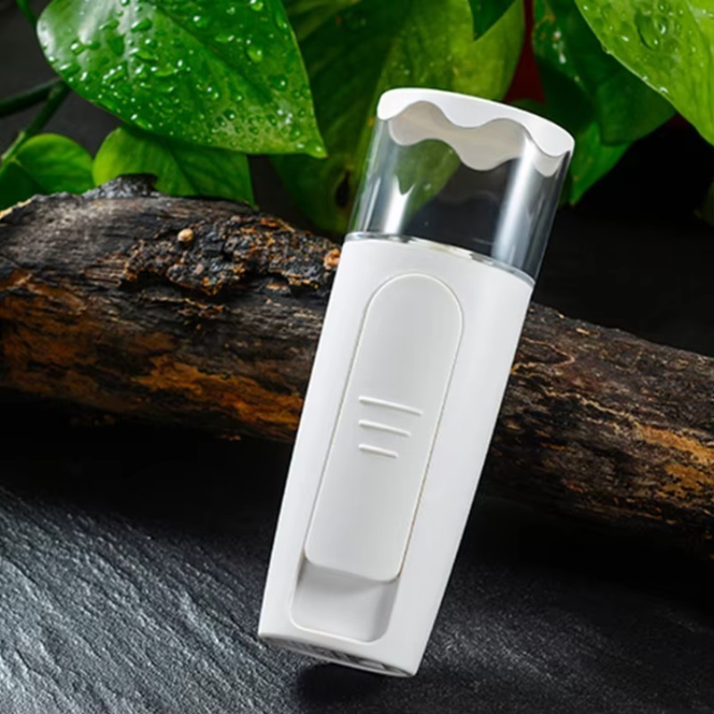 Facial Mini Nano Mister Handhe - đánh giá và giá Facial Steamer Nano