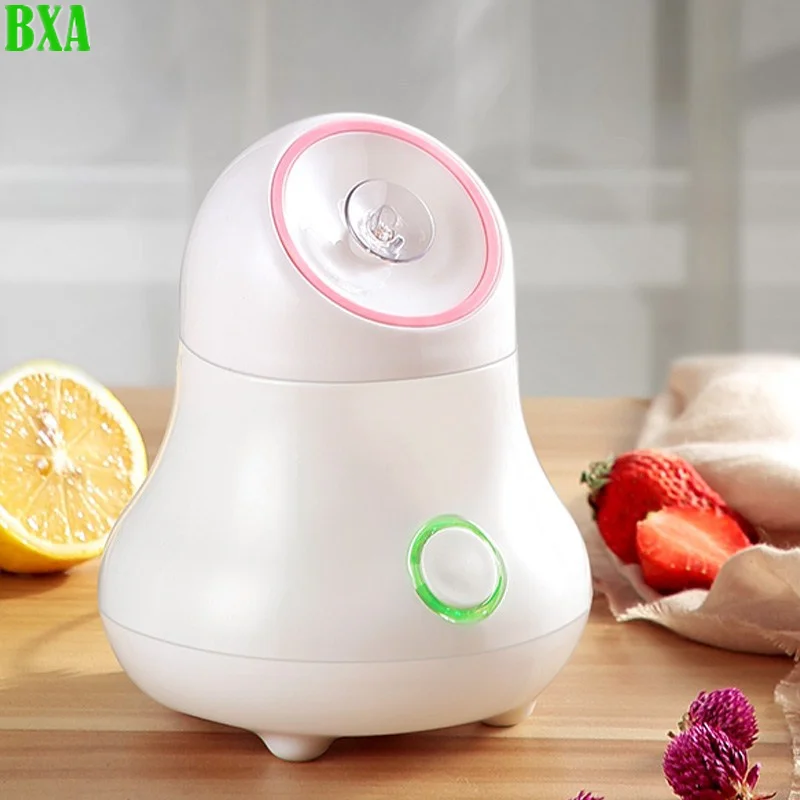 Fruit and Vegetable Facial Ste - đánh giá và giá Facial Steamer Nano