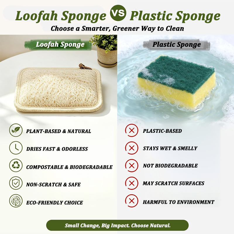 Natural Loofah Sponge Scrubber - đánh giá và giá Body Loofah Natural