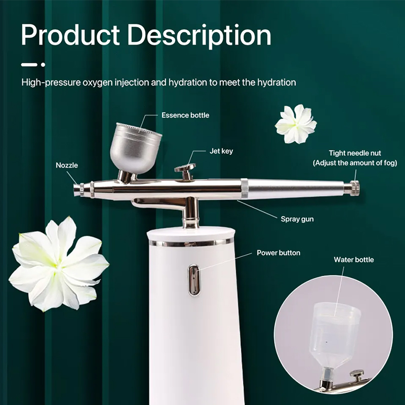 PAKISS Nano Ionic Cold Mist Ai - đánh giá và giá Facial Steamer Nano
