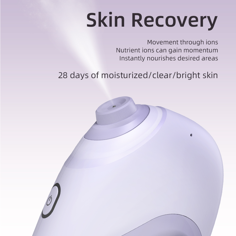 Nano Facial Sprayer Water Stea - đánh giá và giá Facial Steamer Nano